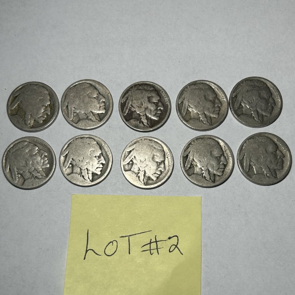 10 Buffalo/Indian Head undated Nickels
